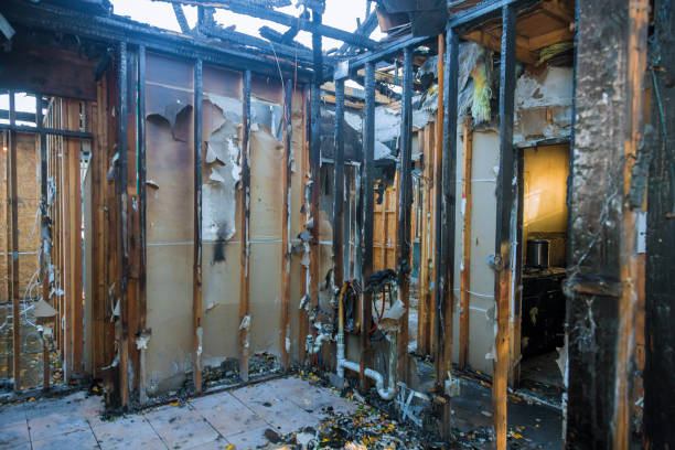 Professional Fire Damage Removal technician working in Naples, TX