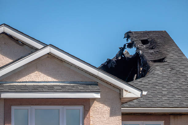Top rated local Fire Damage Removal specialists in Naples, TX
